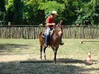 Trail Horse 1